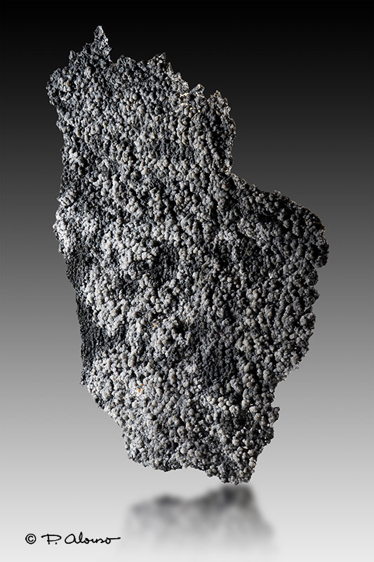 Copiapita
11,5cm x 14,5cm x 0,4cm
(Autor: Pere Alonso)