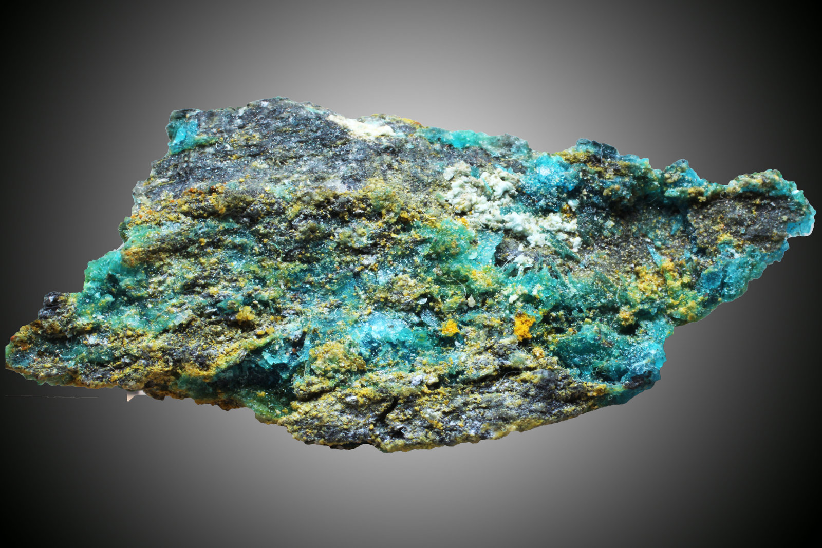 Copiapita
30 x 13 x 8 mm.
(Autor: José Luis Zamora)
