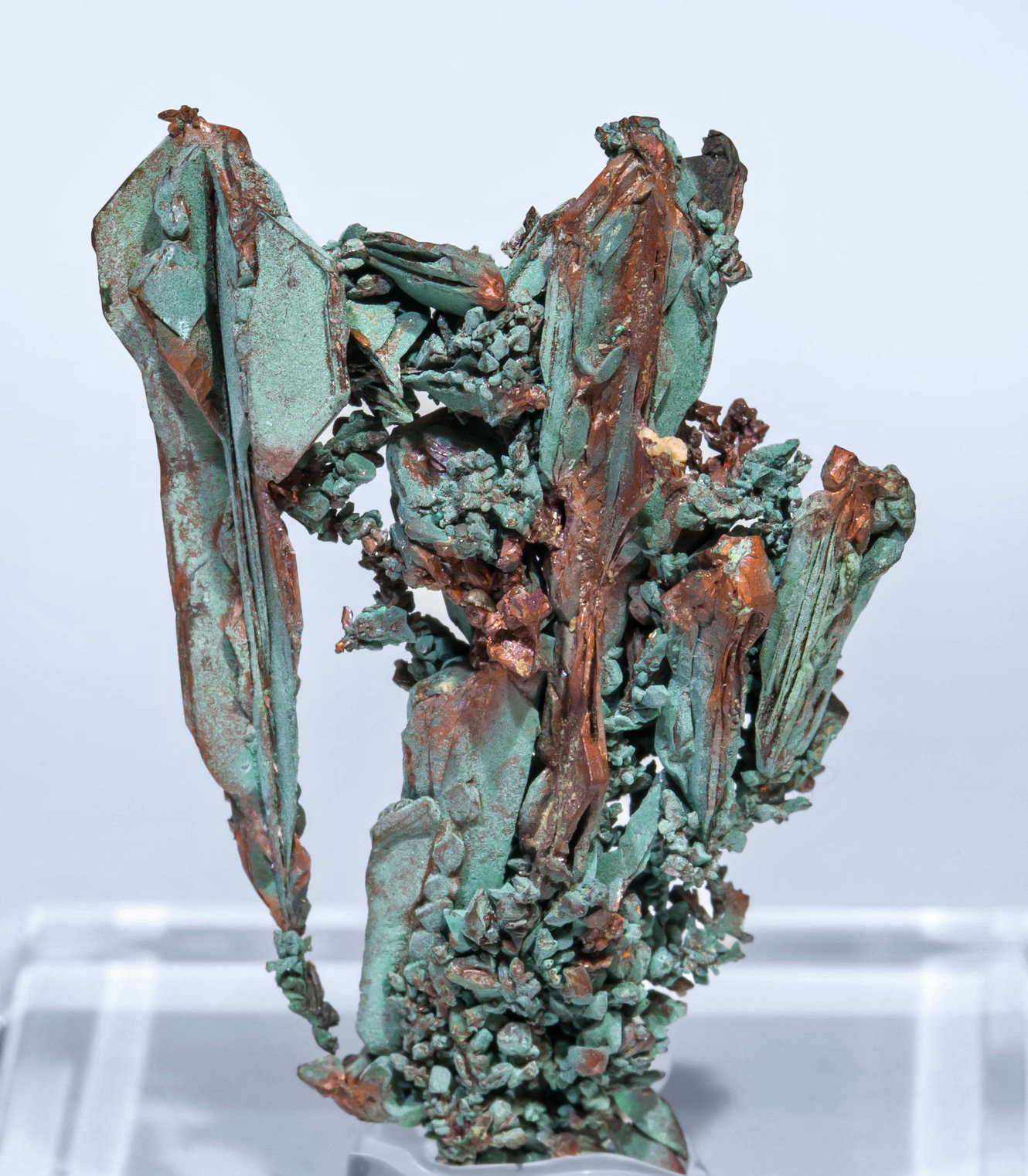Cobre y Malaquita
3.2 × 2.4 × 0.8 cm
(Autor: Jordi Fabre)