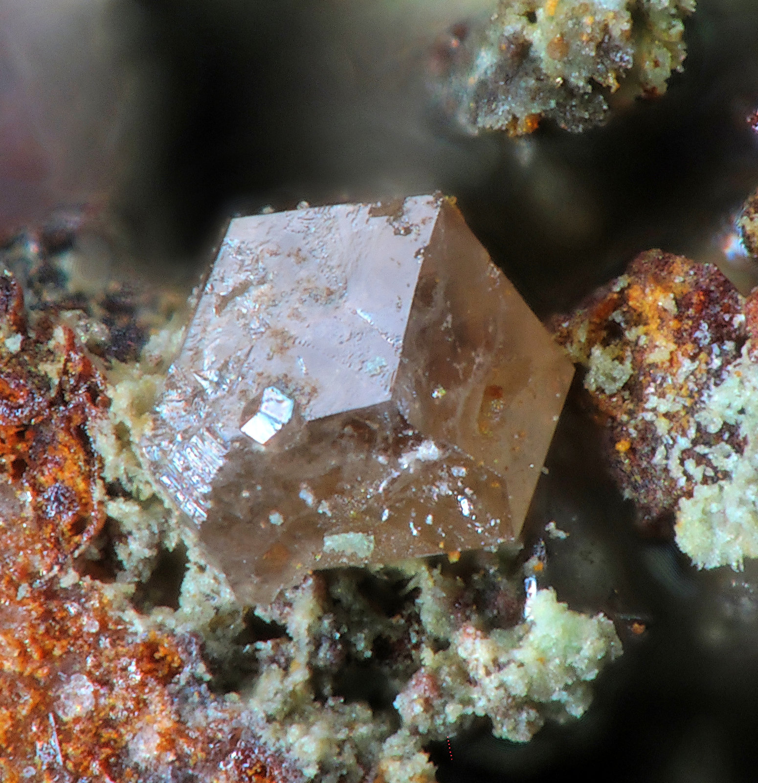 Corderoita
fov 0,5 mm
(Autor: Jordi Fabre)