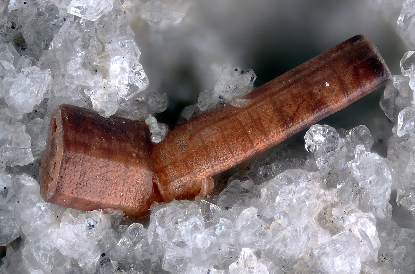 Cordierita
Campo de visión 2,2 mm.
(Autor: Juan Miguel)