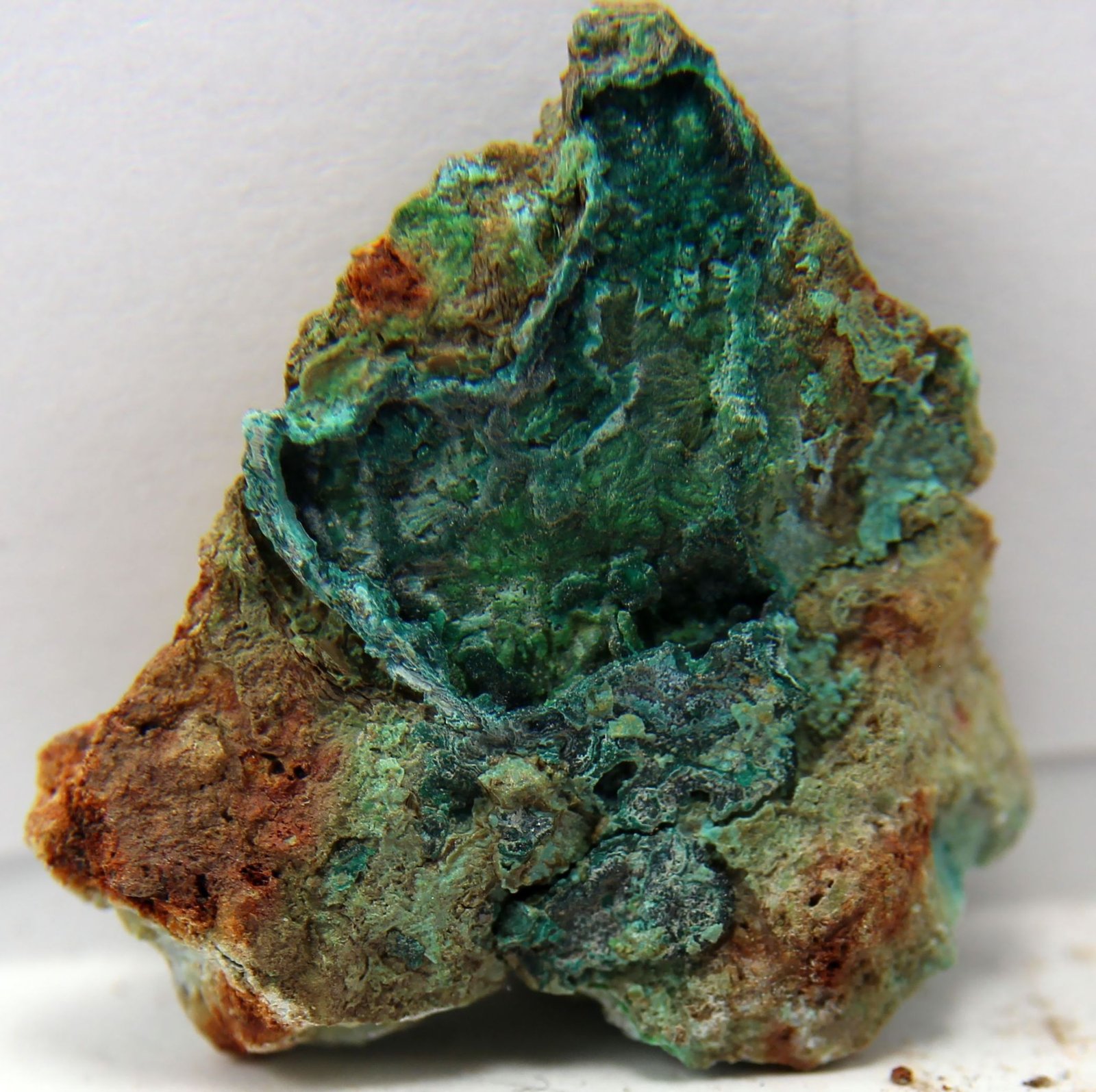 Cornwallita, Malaquita
35 x 29 x 10 mm
(Autor: José Luis Zamora)