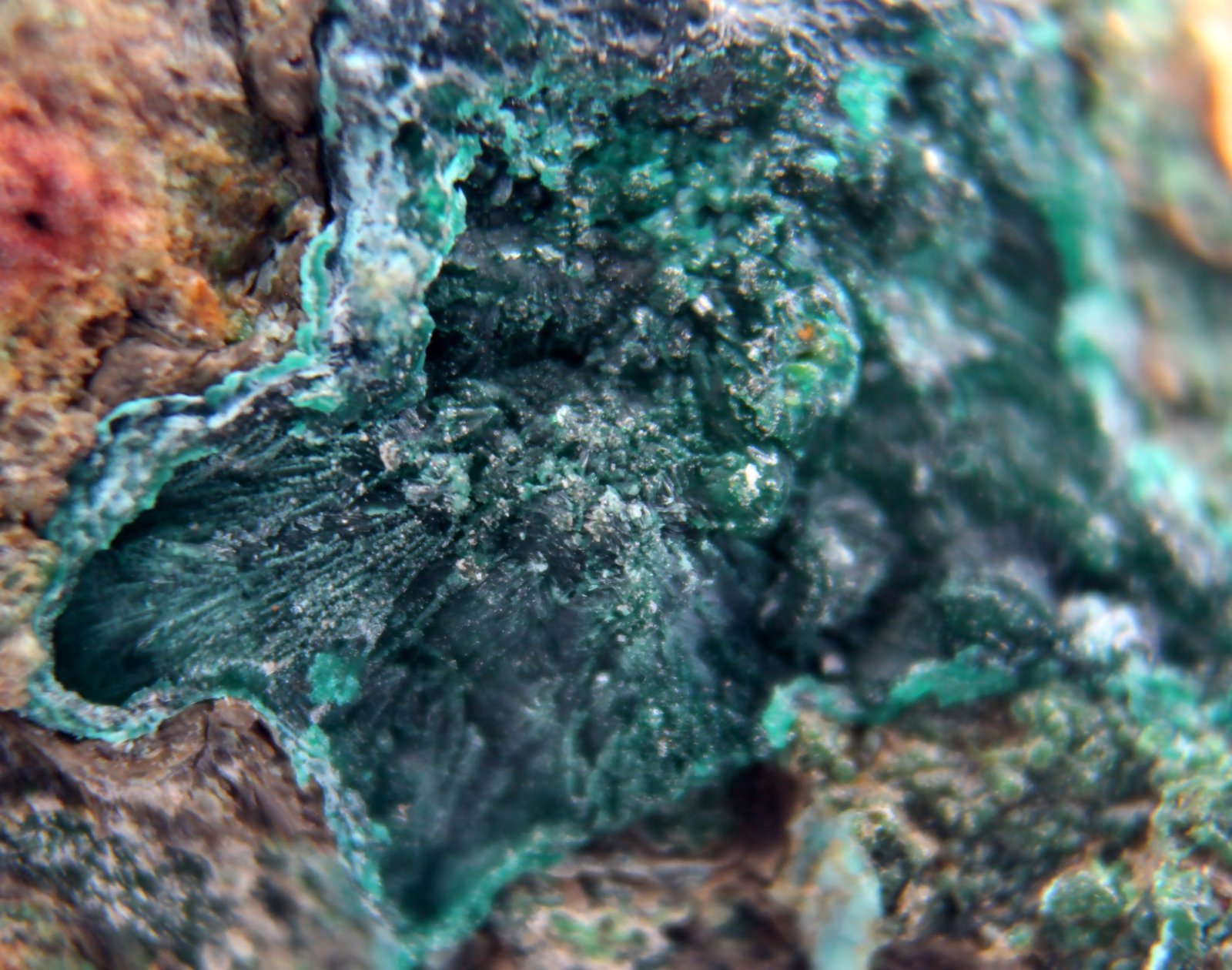 Cornwallita
35 x 29 x 10 mm
(Autor: José Luis Zamora)