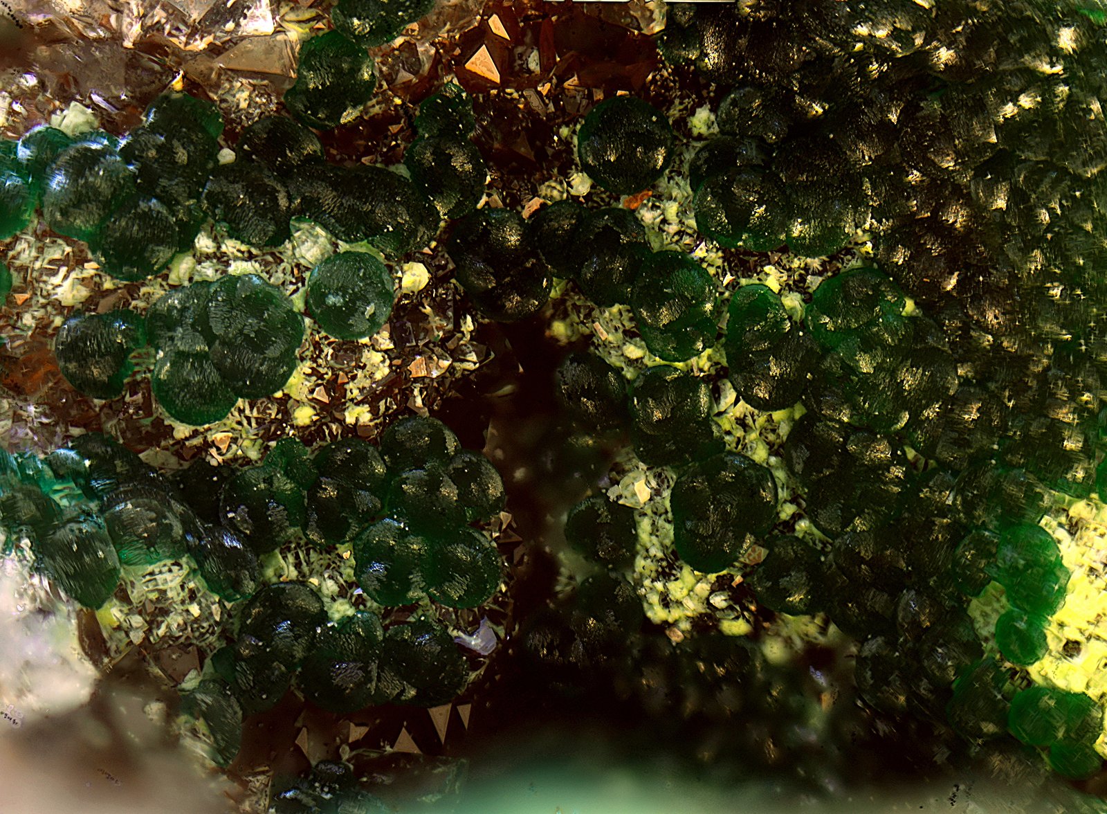 Cornwallita
Campo de visión 5 mm.
(Autor: Antonio Carmona)