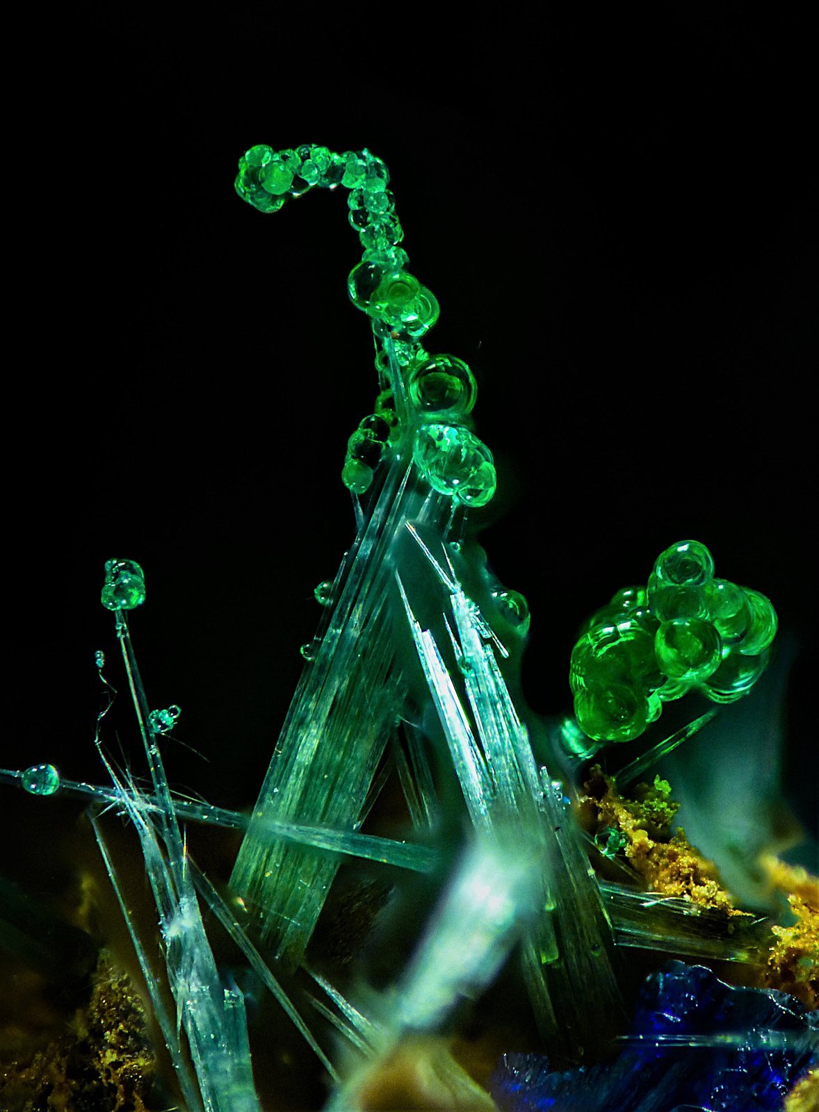 Cornwallita, Olivenita
Campo de visión 2 mm.
(Autor: Jordi Fabre)