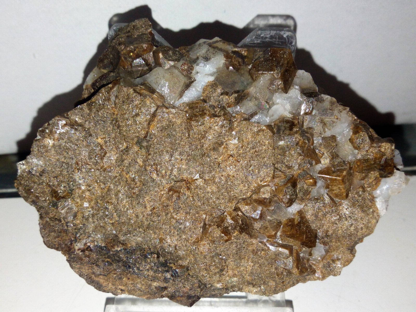 Granate (Grupo)
7x5,5 cm.
(Autor: Adri Rodríguez)