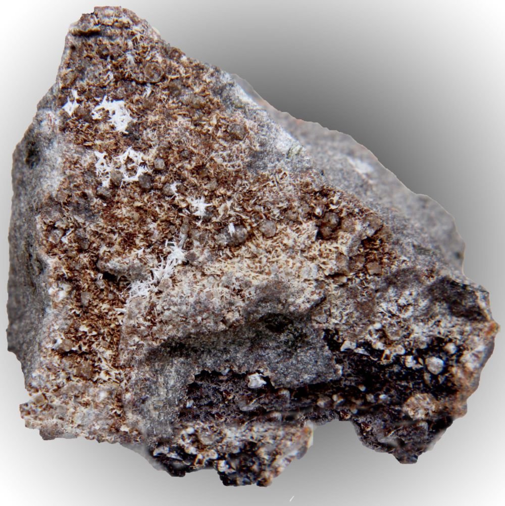 Cotunnita
Micro
(Autor: José Luis Zamora)