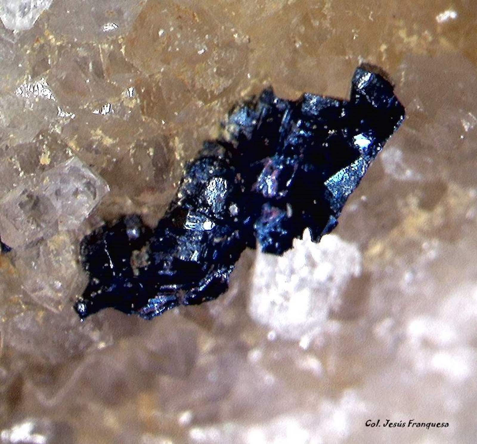 Covellita.
3´741 x 1´263
(Autor: Jesus Franquesa Baucells)