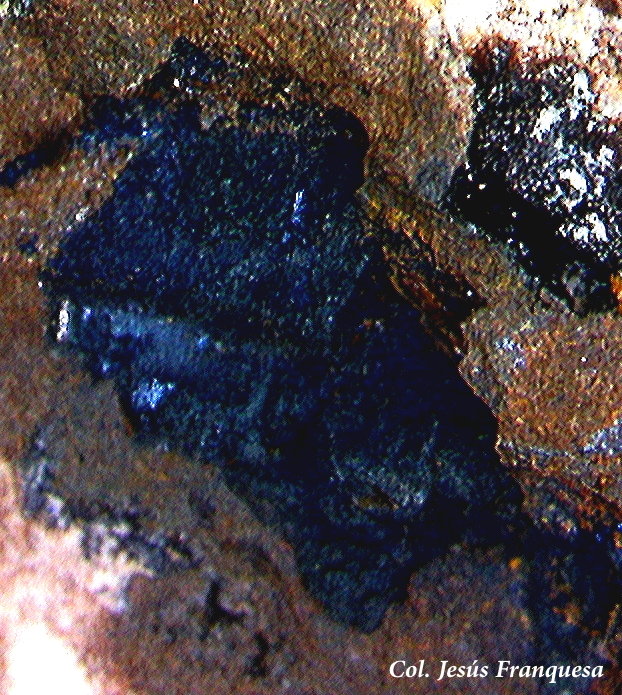 Covellina.
2´18 x 2´89 mm.
(Autor: Jesus Franquesa Baucells)