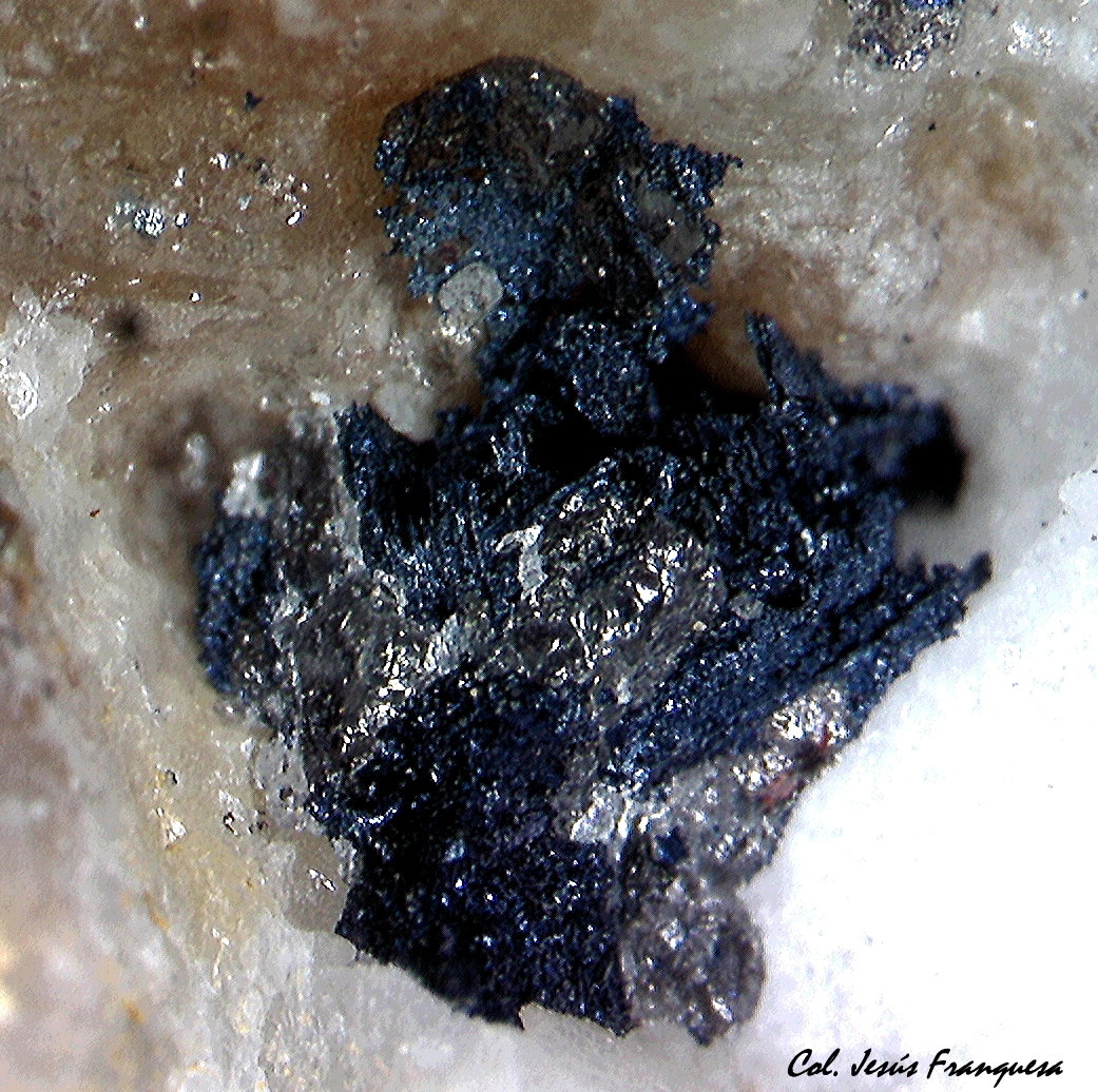 Covellita (Covellina) y Smithsonita
2´567 x 2´227 mm.
(Autor: Jesus Franquesa Baucells)