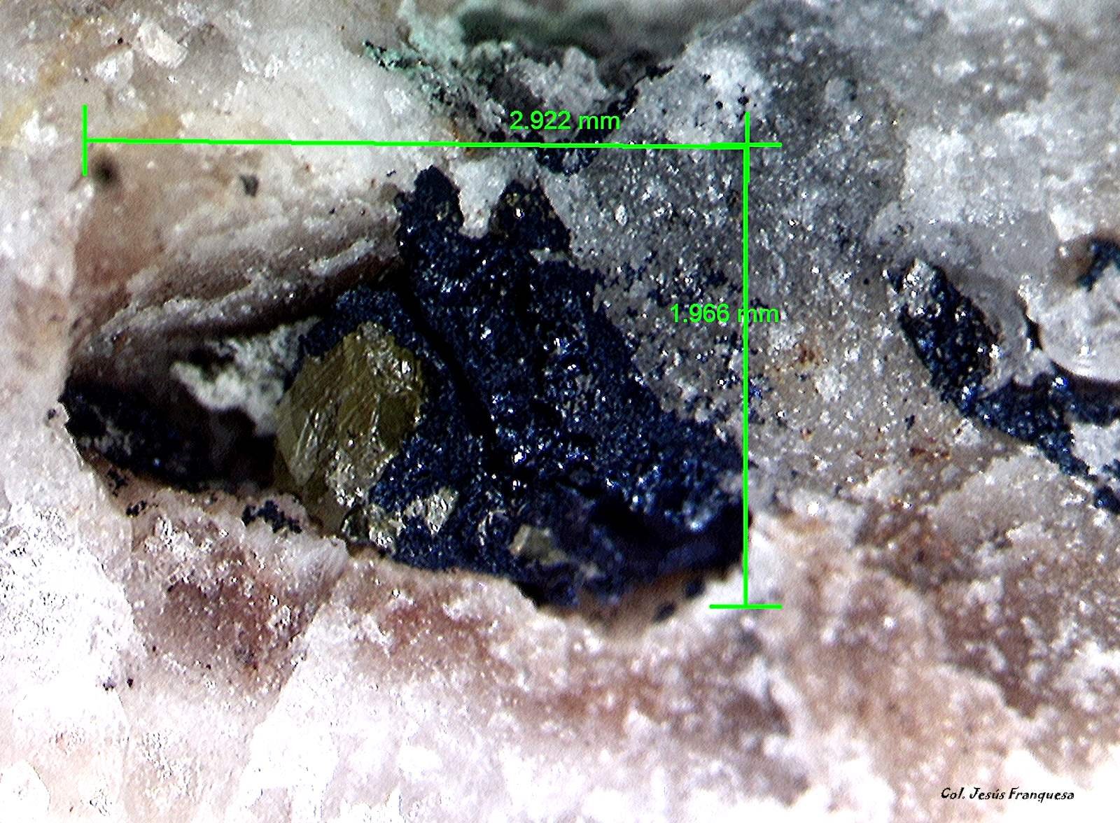 Covellita (Covellina) y Esfalerita.
2´922 x 1´966 mm.
(Autor: Jesus Franquesa Baucells)