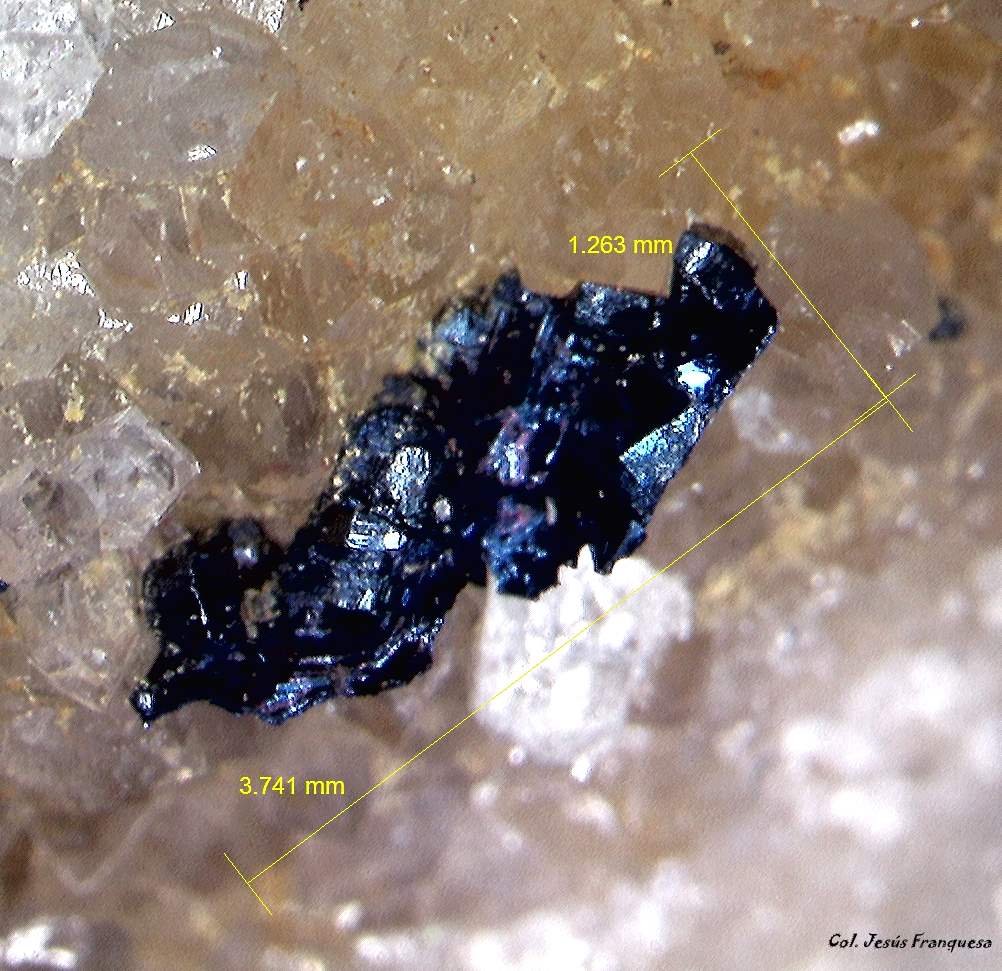 Covellita.
3´741 x 1´263 mm.
(Autor: Jesus Franquesa Baucells)