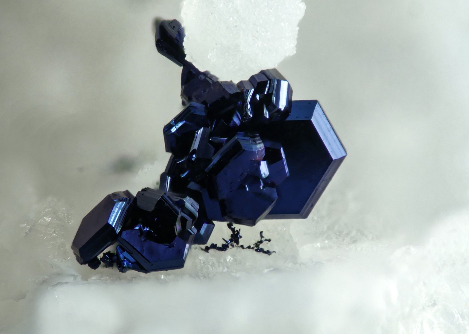 Covellina
4 mm
(Autor: Borja Sainz de Baranda)
