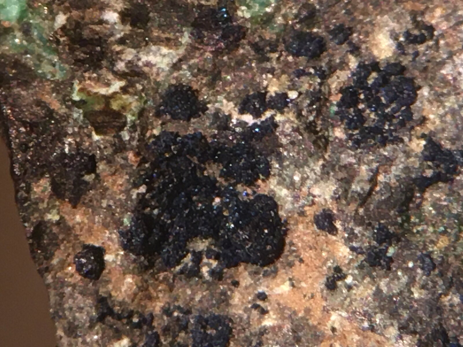 Covellina
Minas de cobre del Cabezo de las Fuentes (Cabezo de la Mina), Sierra de Orihuela, Santomera, Comarca Huerta de Murcia, Región de Murcia (Murcia), España
5 mm FOV
(Autor: Matias Raja)