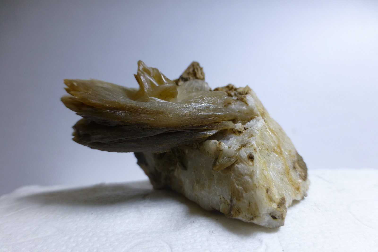 Barita sobre Cuarzo.
Cristal de 3cm
(Autor: heat00)