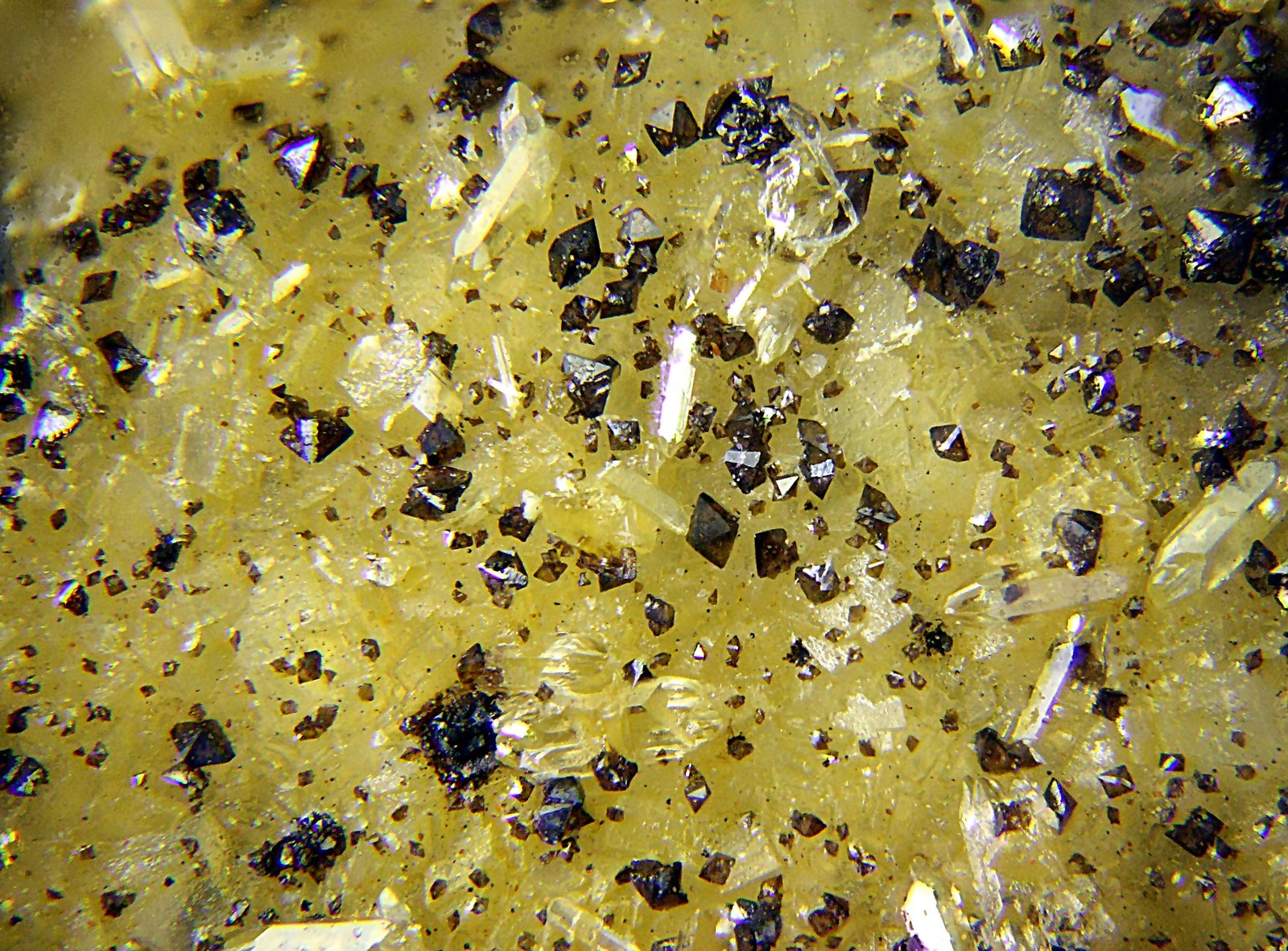 Mottramita y Vanadinita
Campo de visión de 2 mm.
(Autor: Antonio Carmona)