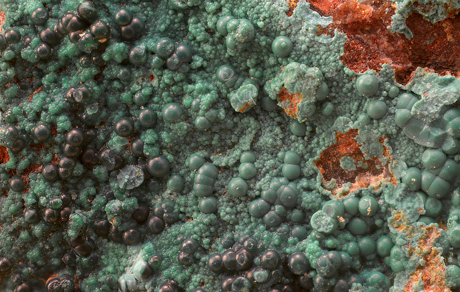 Pseudomalaquita
Campo de visión de 10 mm
(Autor: Antonio Carmona)