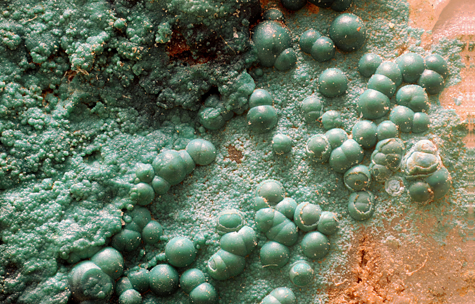 Pseudomalaquita
Campo de visión de 10 mm.
(Autor: Antonio Carmona)