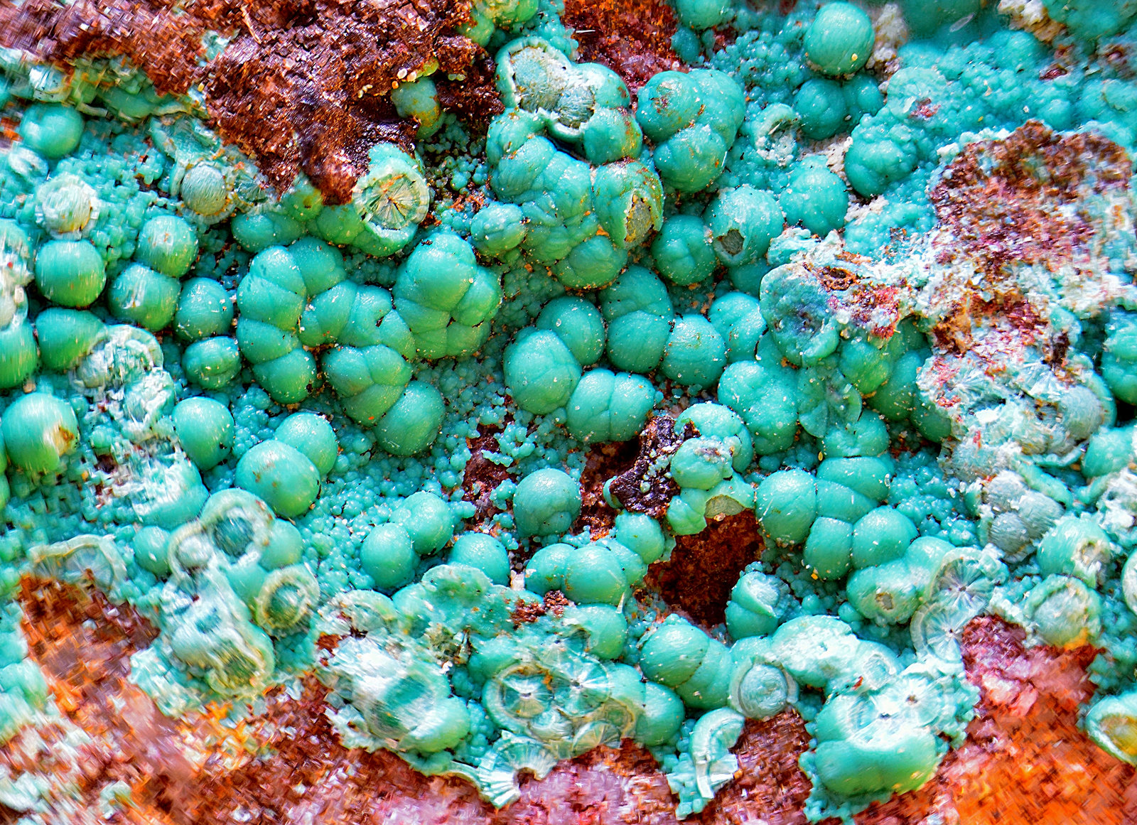 Pseudomalaquita
Campo de visión de 4 mm
(Autor: Antonio Carmona)