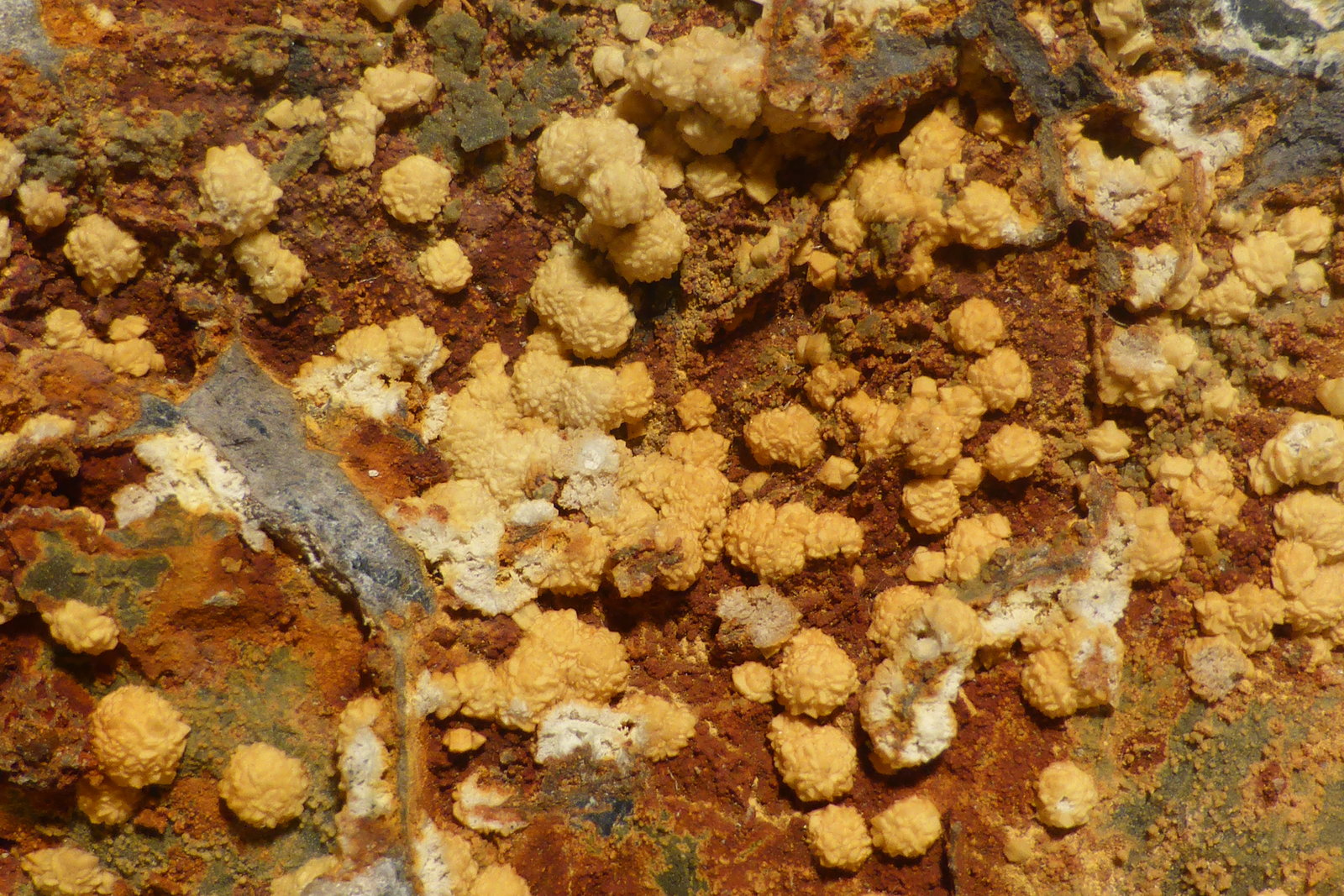 Crandallita
5,5 x 6,5 cm
(Autor: Ander Ispizua Juan)