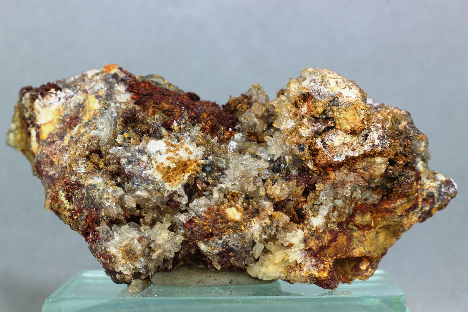 Creedita
97x43 mm
(Autor: Juan Espino)