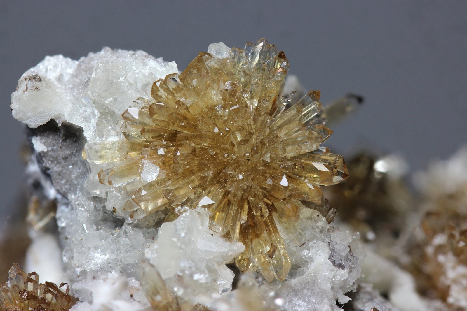 Creedita
cluster 15mm
(Autor: Ramon A  Lopez Garcia)