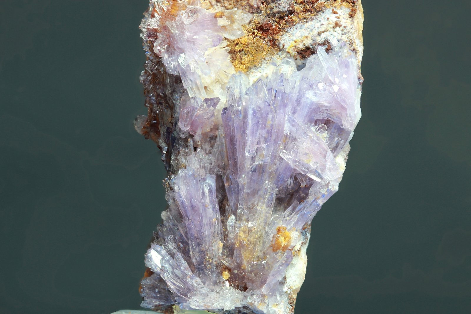 Creedita
30x60mm
(Autor: Ramon A  Lopez Garcia)