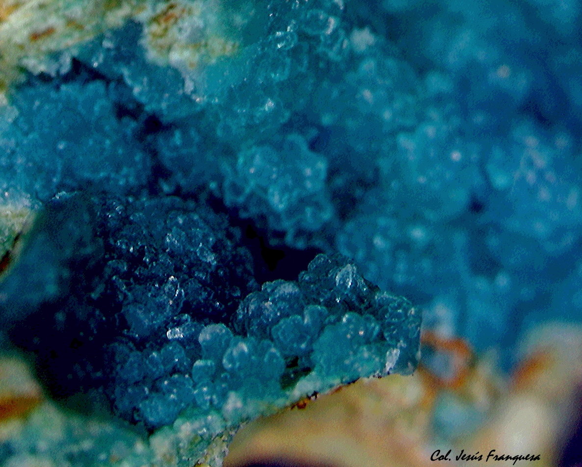 Crisocola.
3´209 x 2´396 mm.
(Autor: Jesus Franquesa Baucells)