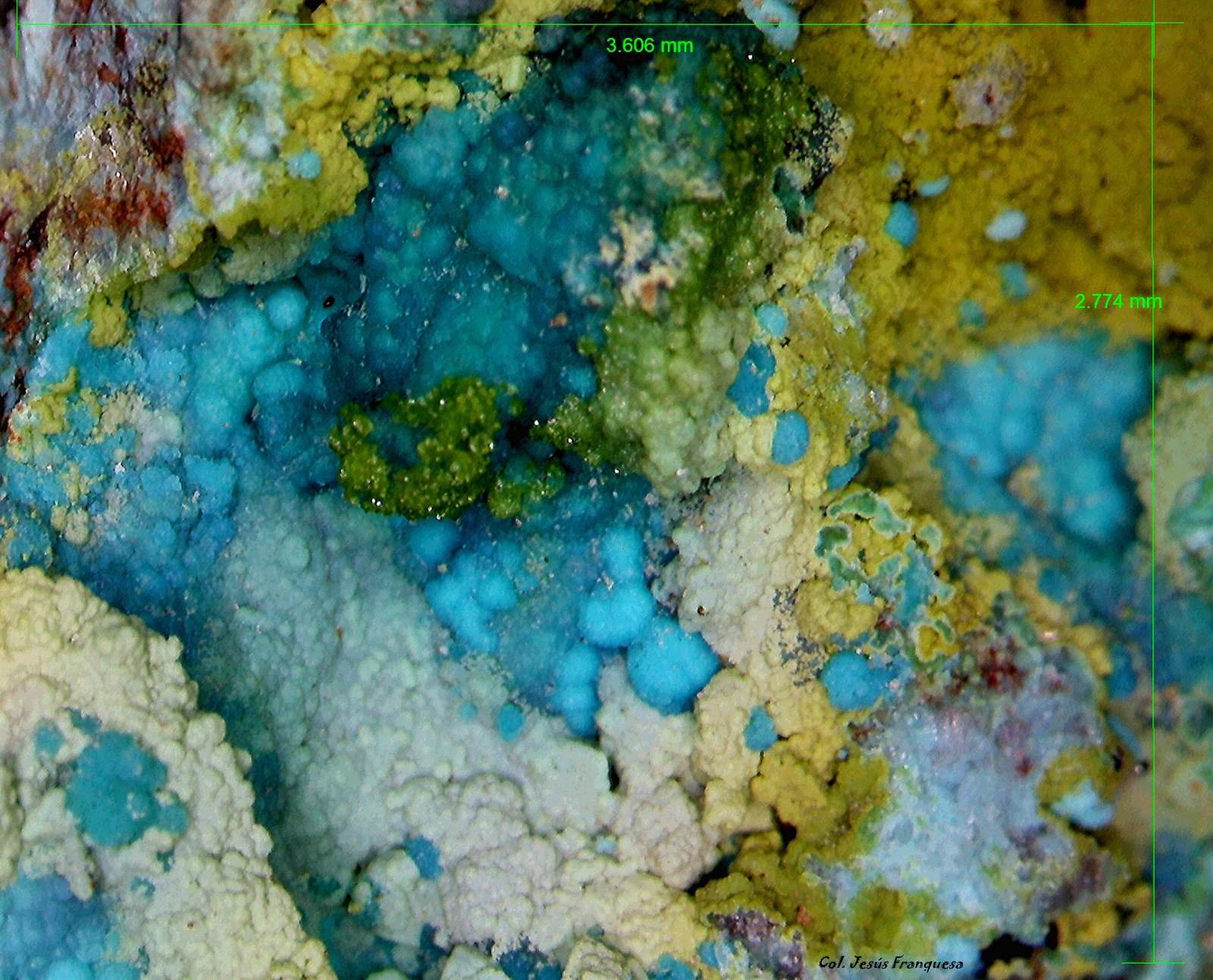 Crisocola y Duftita.
3´606 x 2´774 mm.
(Autor: Jesus Franquesa Baucells)