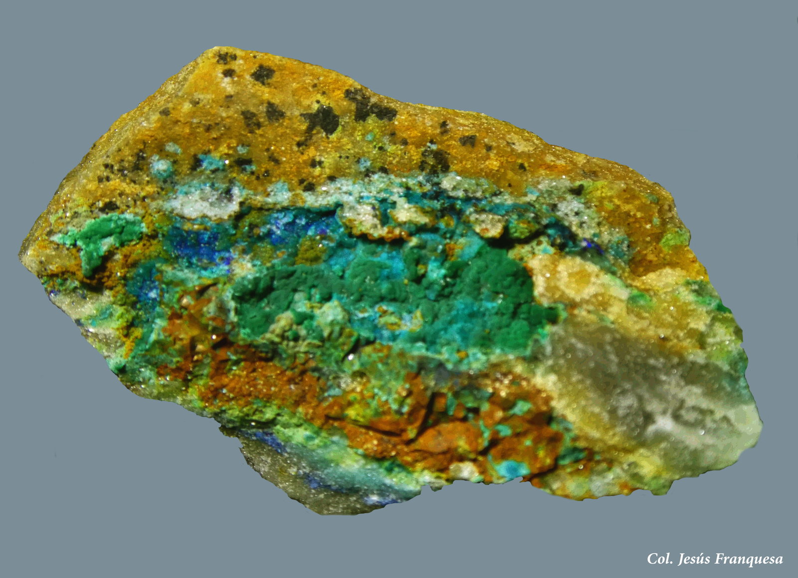 Crisocola y Azurita.
32x20 mm.
(Autor: Jesus Franquesa Baucells)