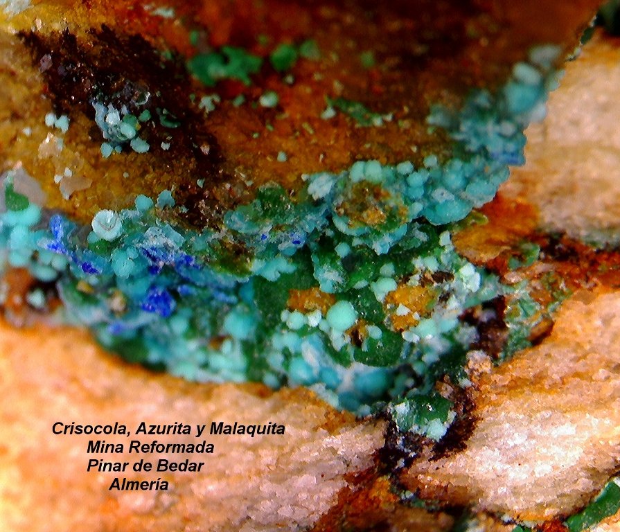 Crisocola, Azurita y Malaquita.
17x17 mm.
(Autor: Jesus Franquesa Baucells)