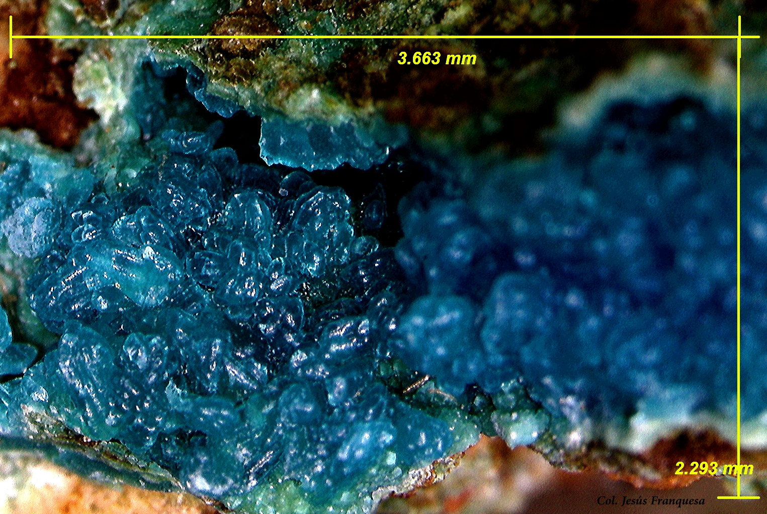 Crisocola.
3´66 x 2´29 mm.
(Autor: Jesus Franquesa Baucells)