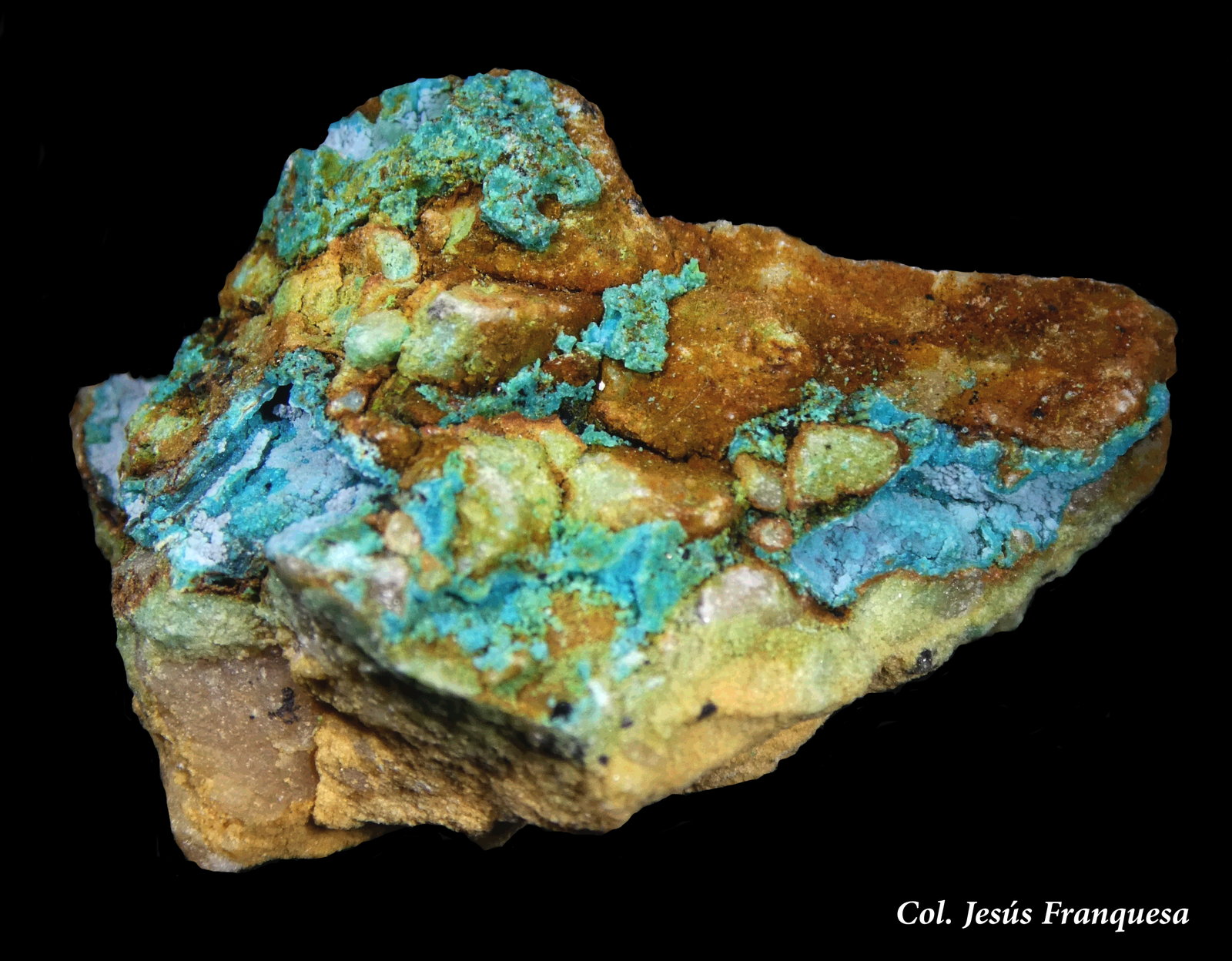 Crisocola.
35x22 mm.
(Autor: Jesus Franquesa Baucells)