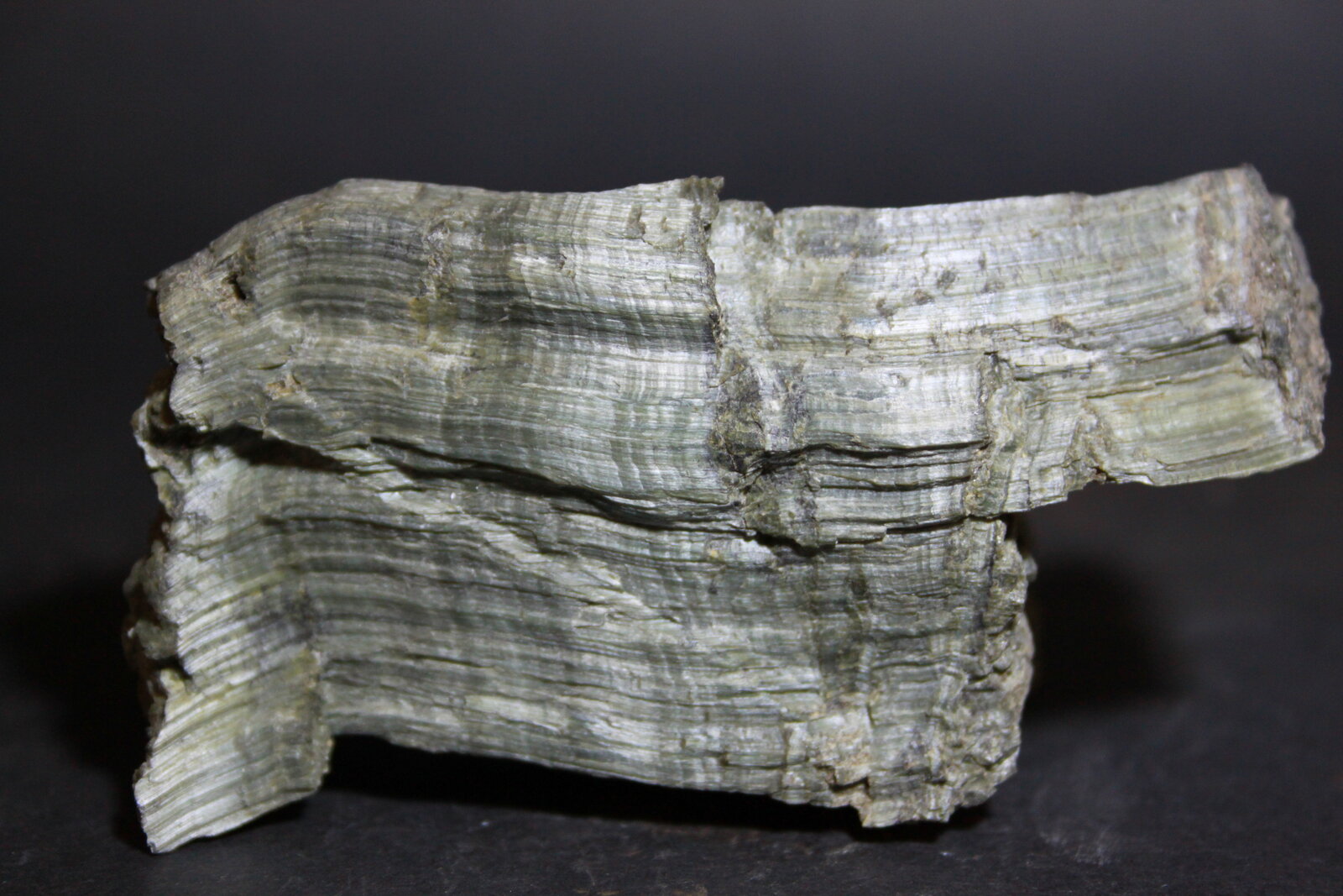 Crisotilo
80 x 40
(Autor: Joaquin Blanco Cortina)