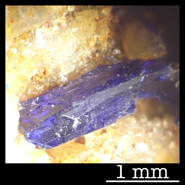 (Autor: Anonymous)