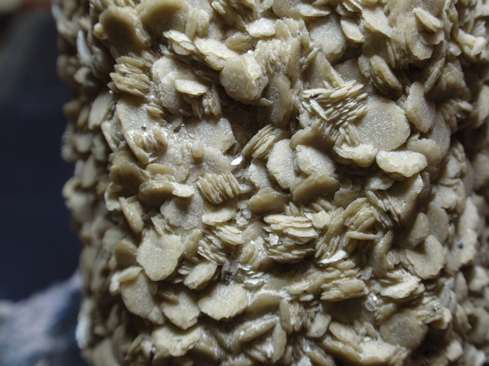 Siderita
55x130 mm
(Autor: Ignacio)