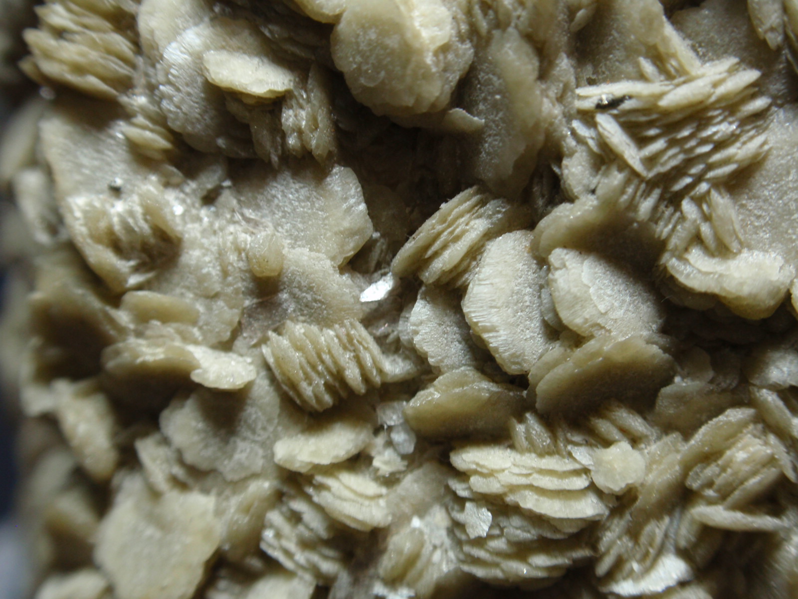 Siderita
55x130 mm
(Autor: Ignacio)