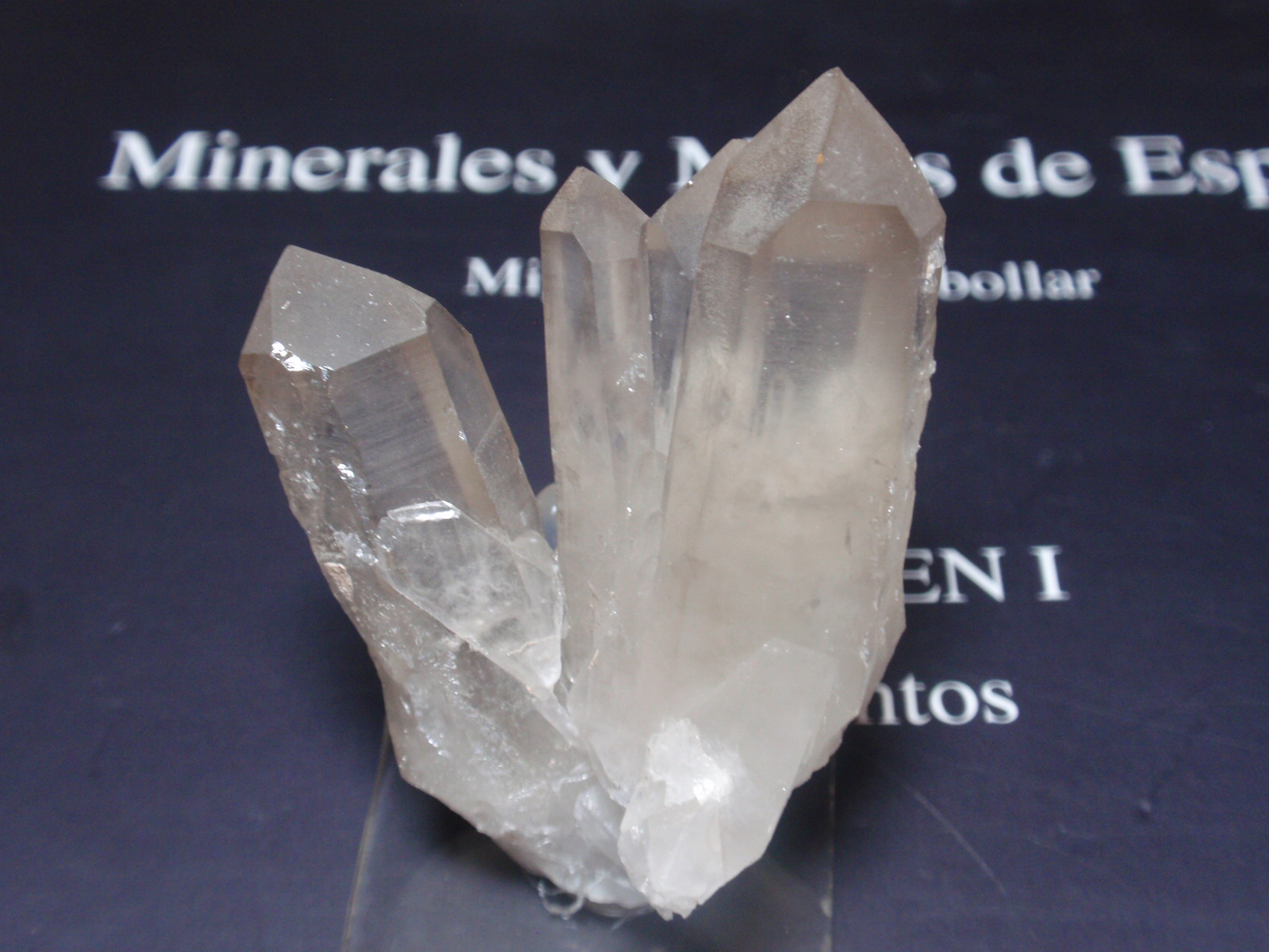 Cuarzo (variedad cristal de roca)
40x40 mm
(Autor: Ignacio)