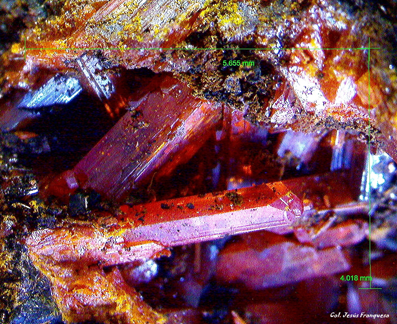 Crocoita.
5´655 x 4´018 mm.
(Autor: Jesus Franquesa Baucells)