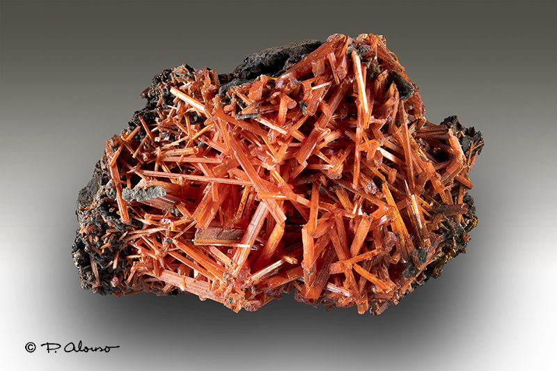 Crocoita
5,5cm x 3cm x 4cm
(Autor: Pere Alonso)