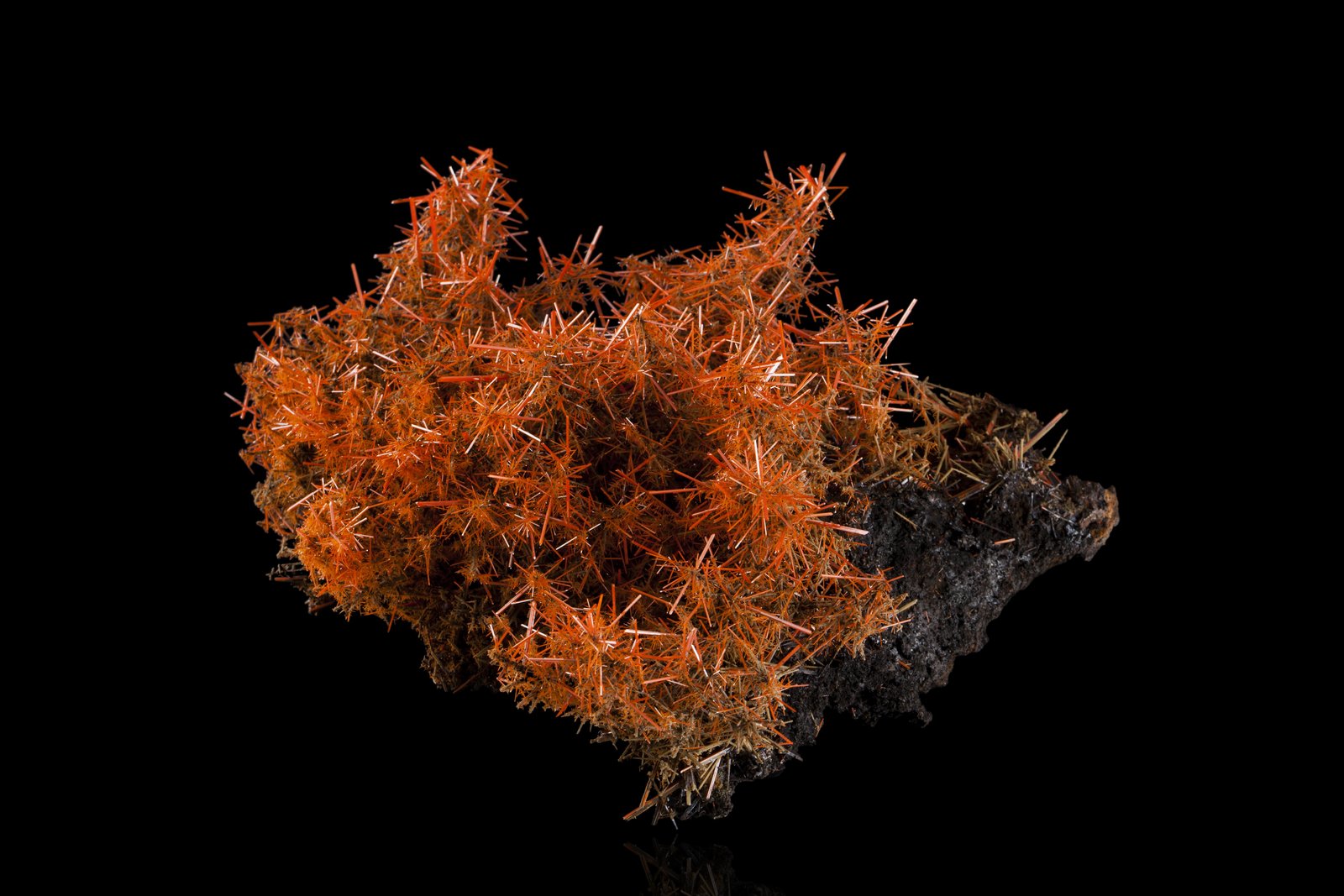 Crocoita
25 x 25 x 15 cm / Cristal principal: 3.5 cm
(Autor: Museo MIM)