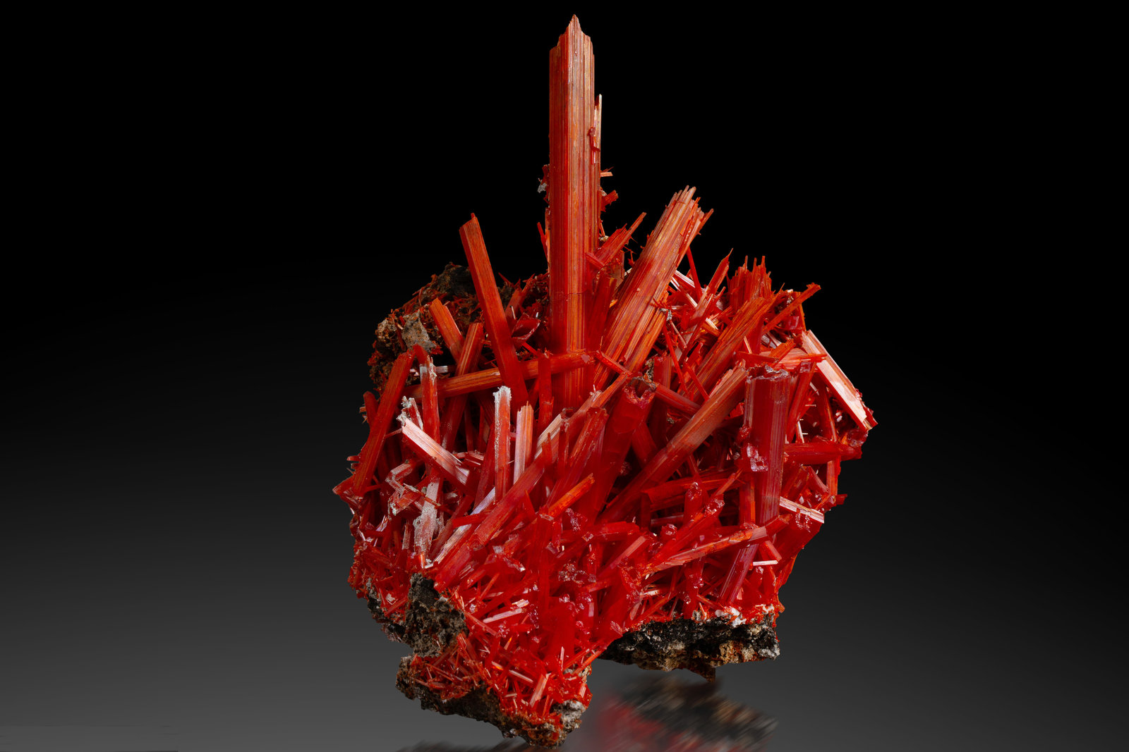 Crocoíta
14 x 14 x 18 cm / cristal principal: 11.3 cm
(Autor: Museo MIM)