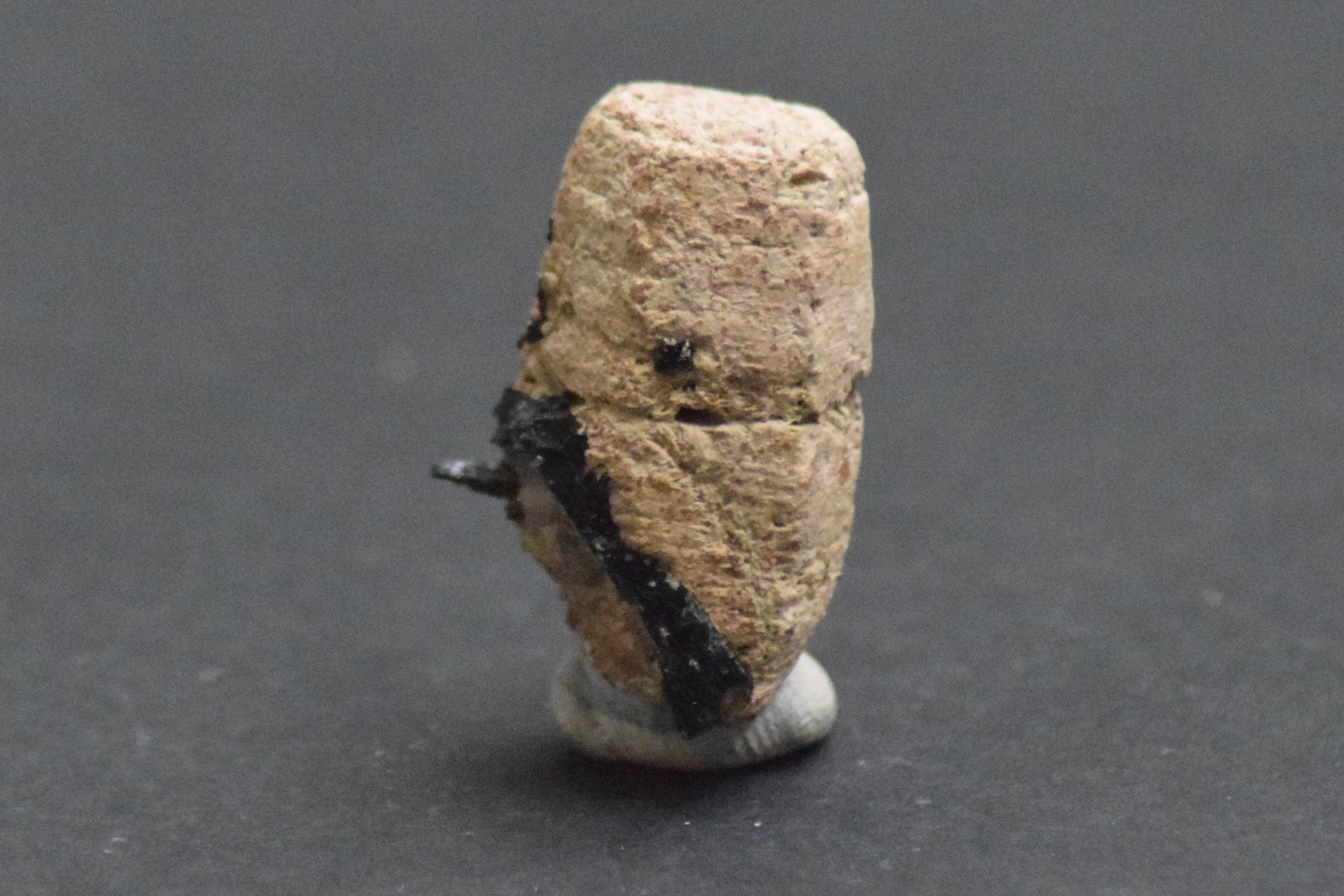 Parisita-(Ce) y Aegirina
2,5 x 1,5 x 1,5 cm
(Autor: Antonio Alcaide)