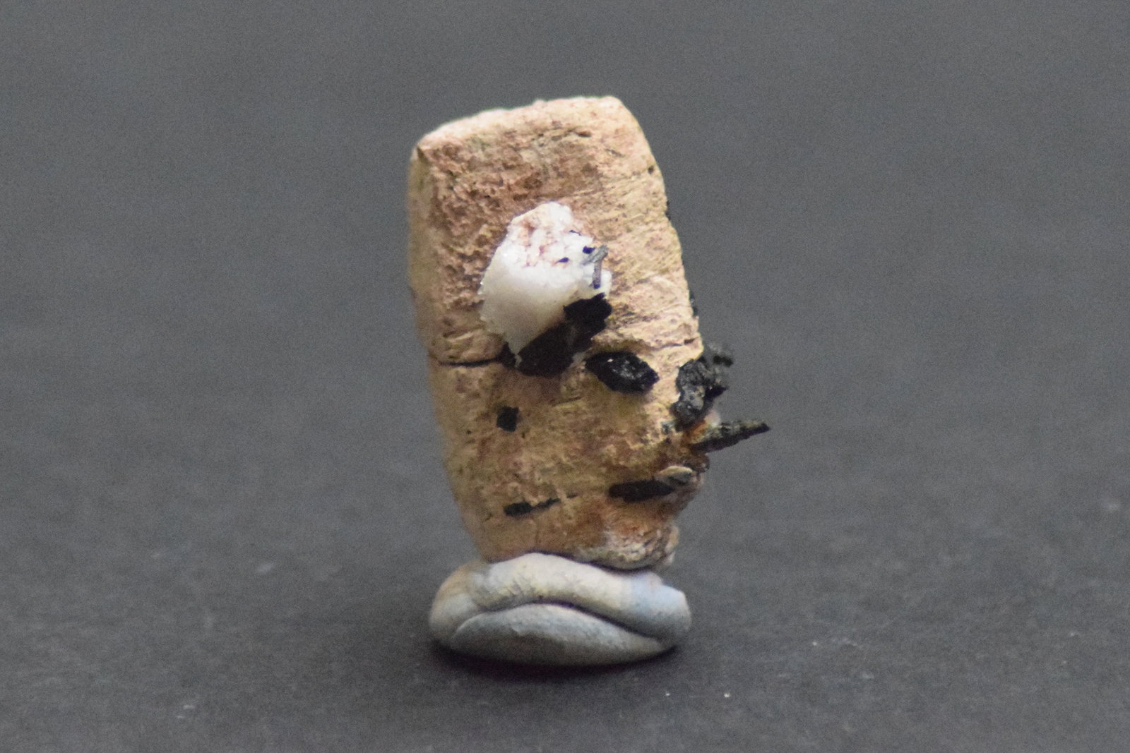 Parisita-(Ce) y Aegirina
2,5 x 1,5 x 1,5 cm
(Autor: Antonio Alcaide)