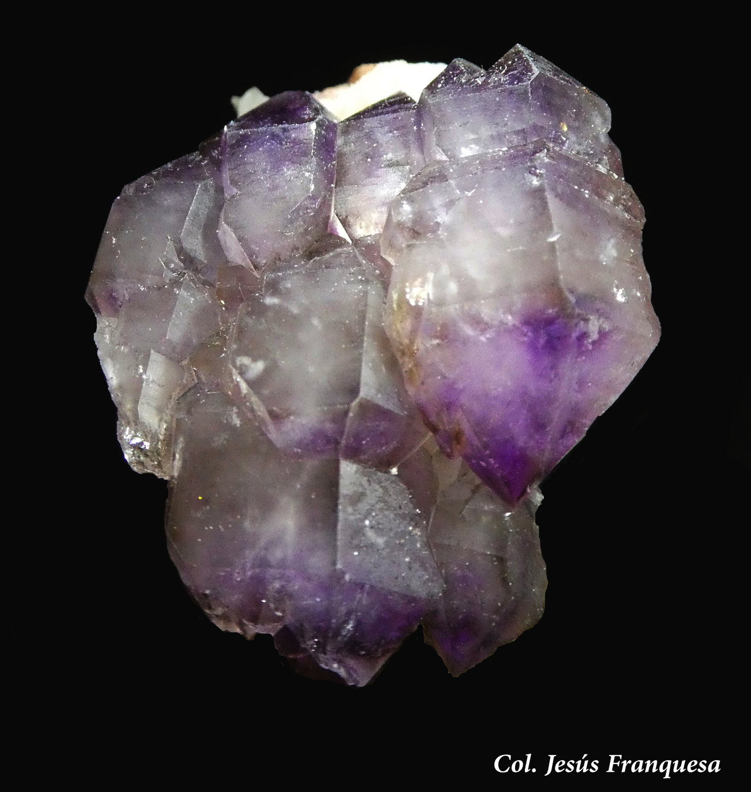 Cuarzo (variedad amatista)
40x30 mm.
(Autor: Jesus Franquesa Baucells)