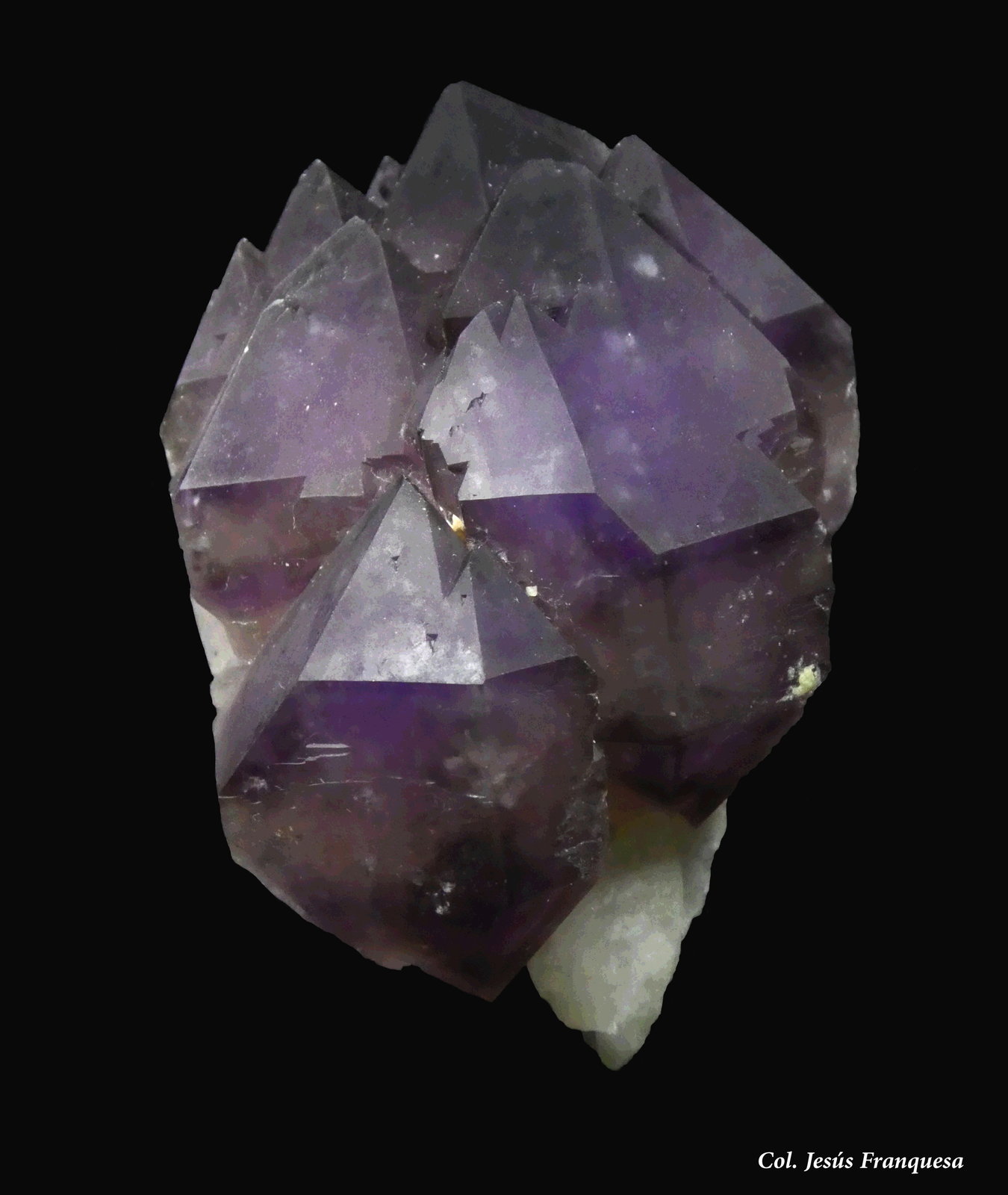 Cuarzo (variedad amatista)
60x40 mm.
(Autor: Jesus Franquesa Baucells)