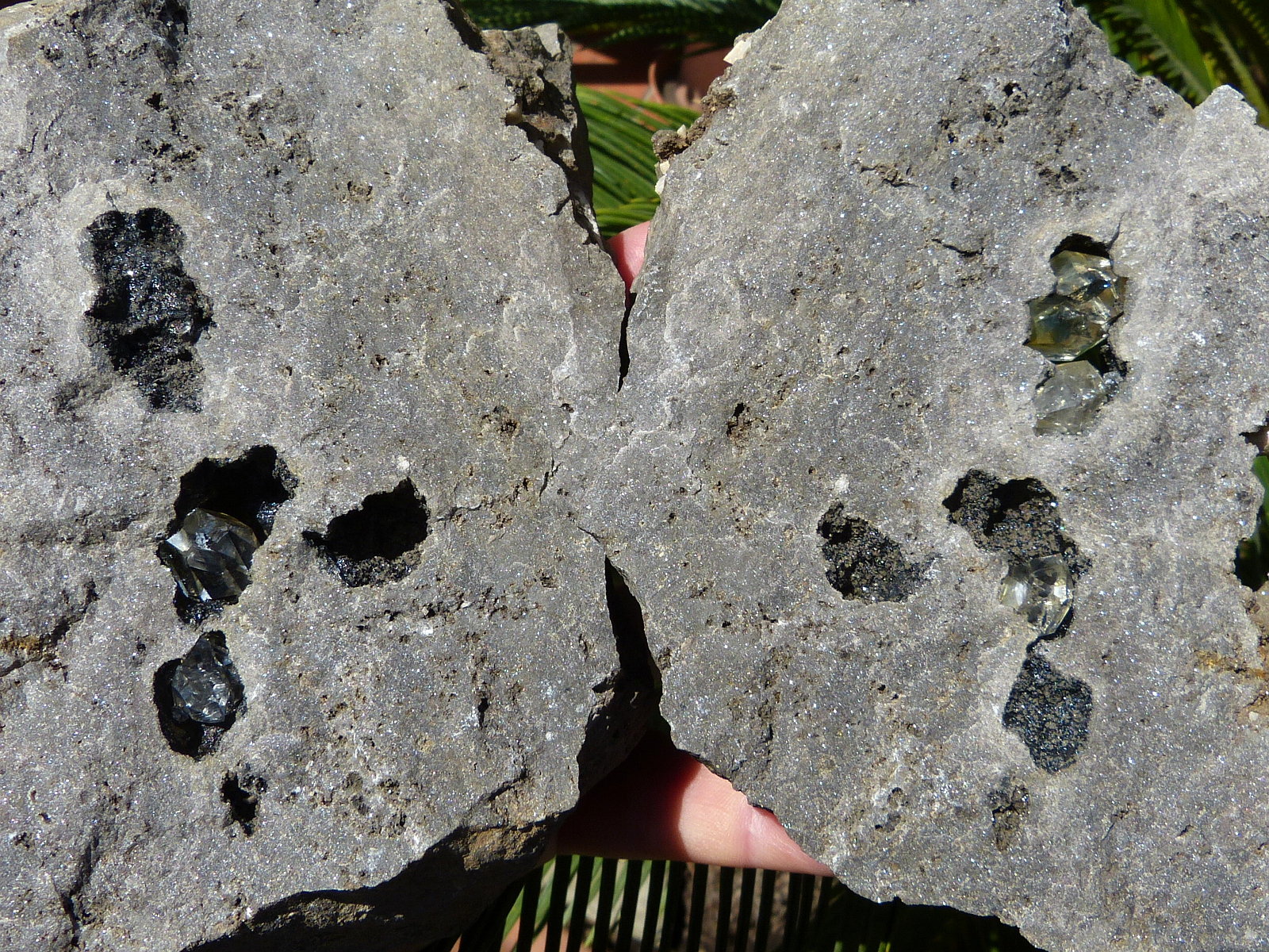 Cuarzo (variedad herkimer)
Marco de la foto :20x24 cm
(Autor: nerofis2)
