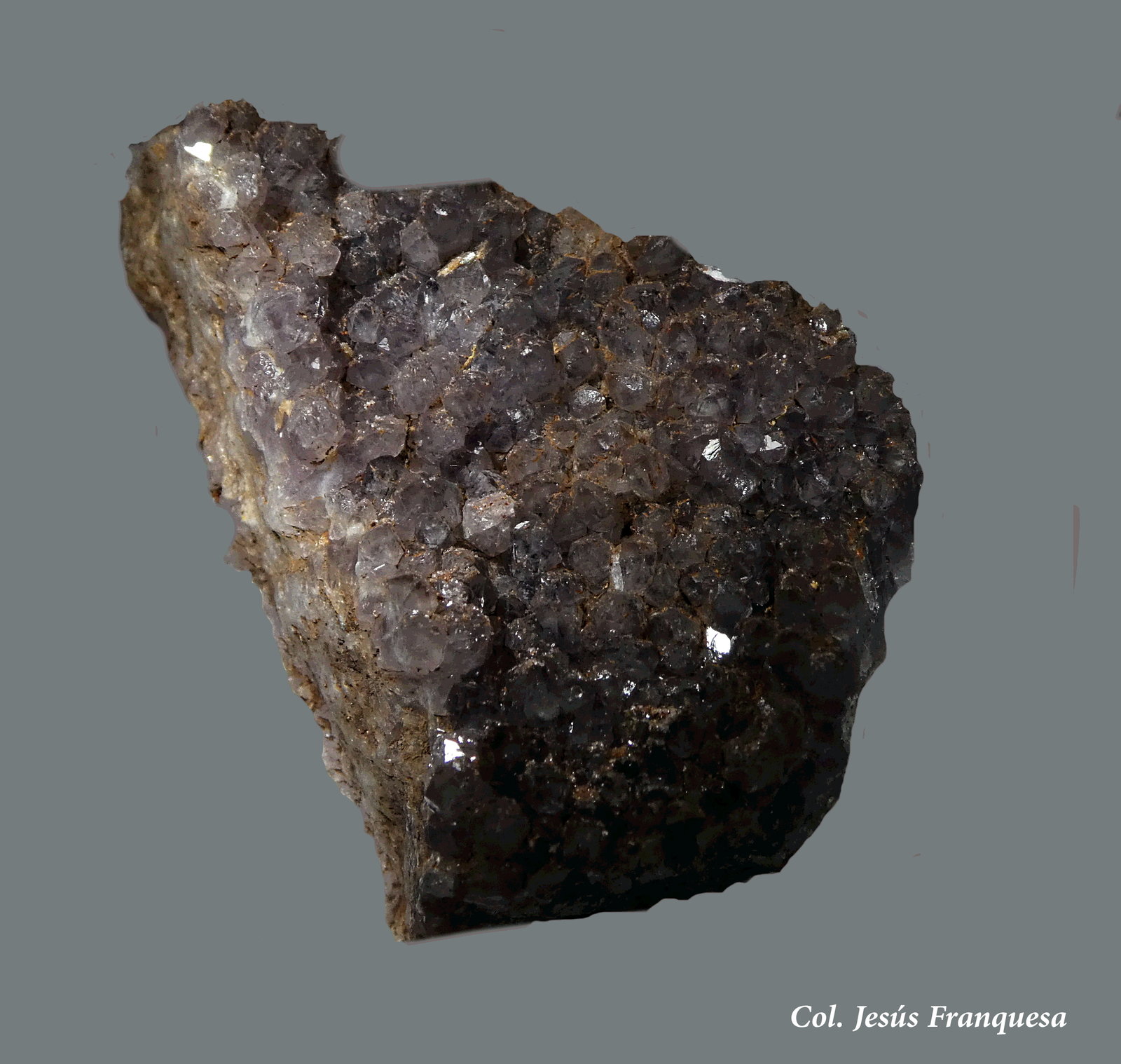 Cuarzo (variedad amatista)
50x35 mm.
(Autor: Jesus Franquesa Baucells)
