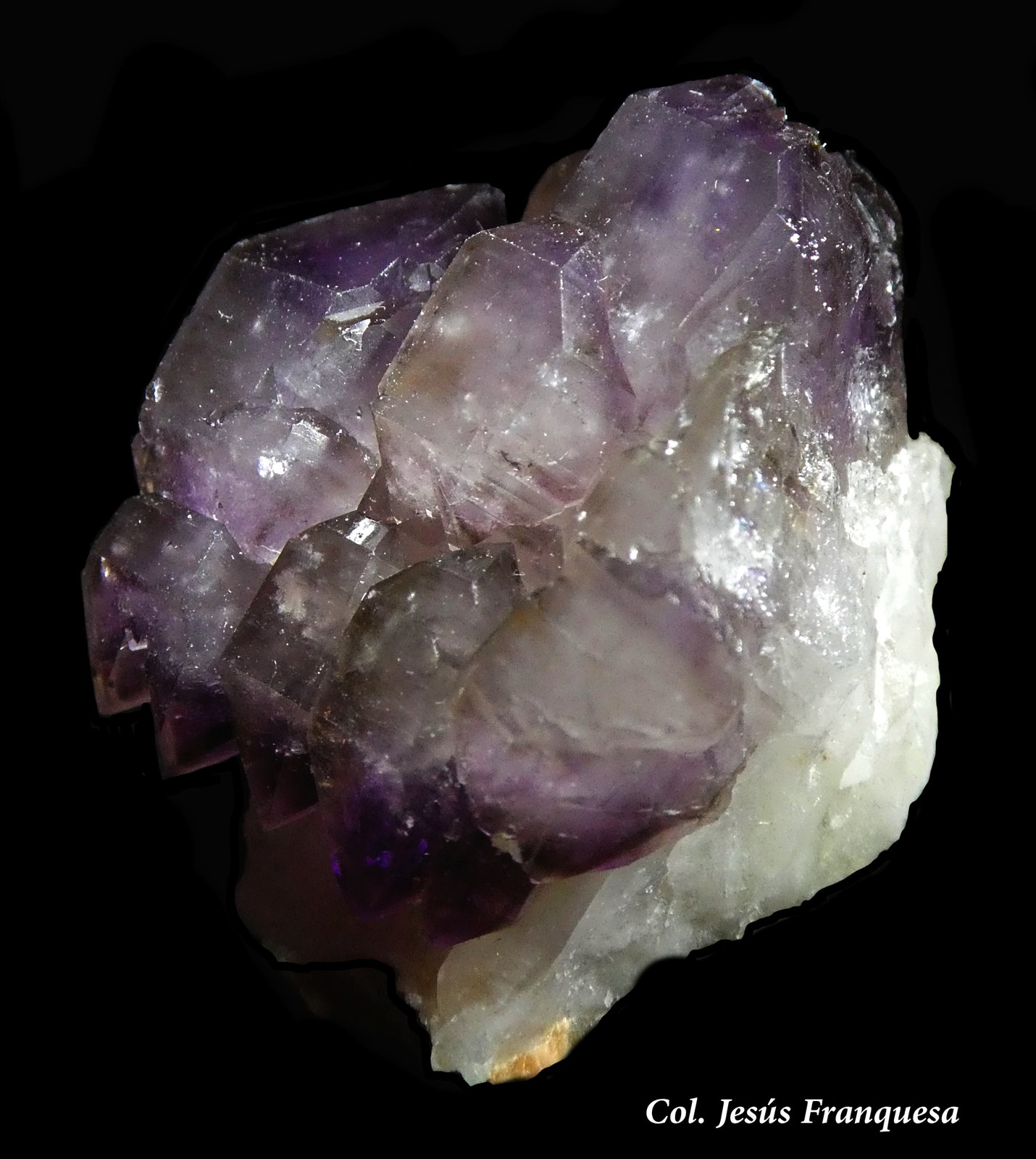 Cuarzo (variedad amatista)
35x30 mm.
(Autor: Jesus Franquesa Baucells)