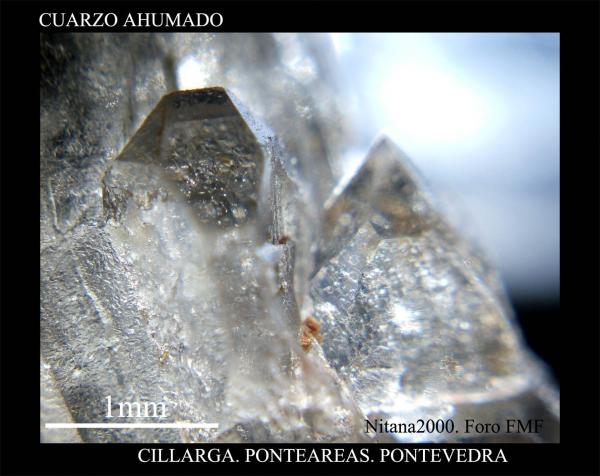 (Autor: Juan de Laureano)